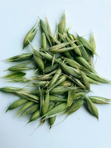 Avoine fleurie PMN