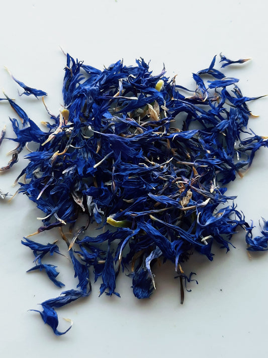 Centaurée bleue montana MT