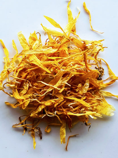 Calendule MT