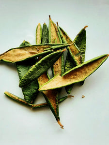 Thé du Labrador (feuilles) CB