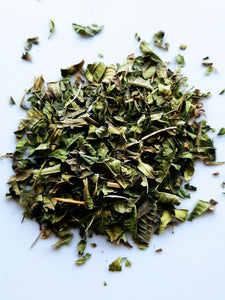 Verveine citronnée* MT