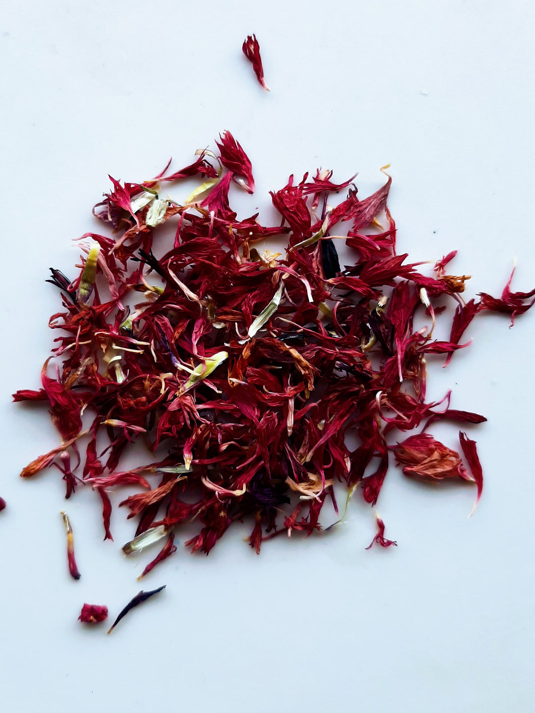 Centaurée rose MT