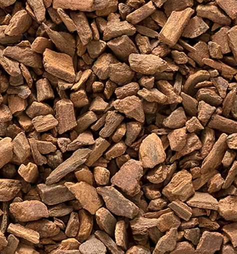 Cannelle en morceaux (Cinnamomum cassia)
