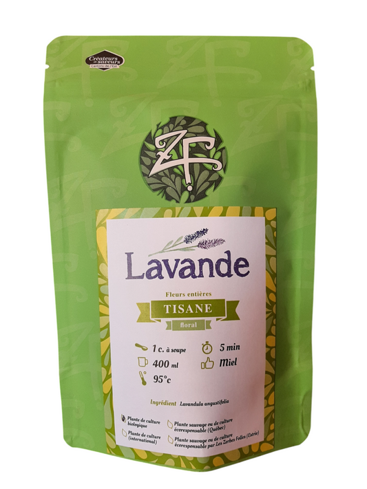 Lavande MT
