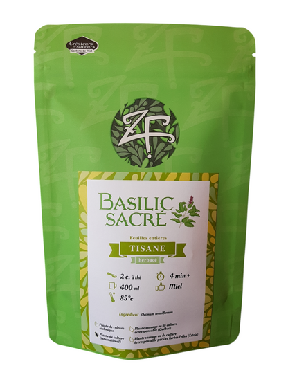 Basilic sacré / tulsi TT