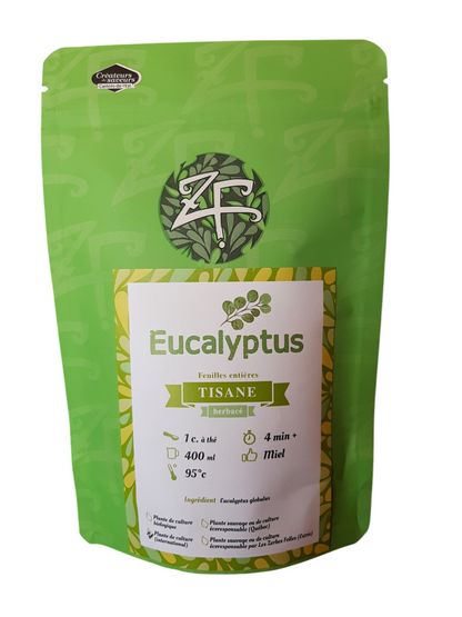 Eucalyptus TTMT