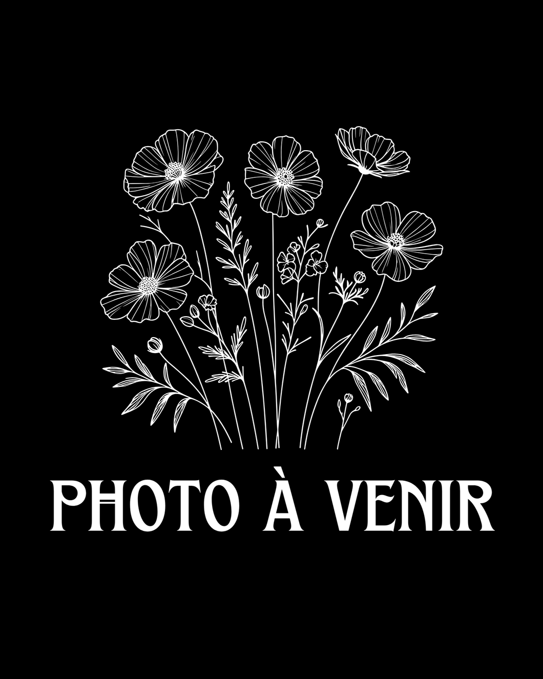 Armoise vulgaire TT