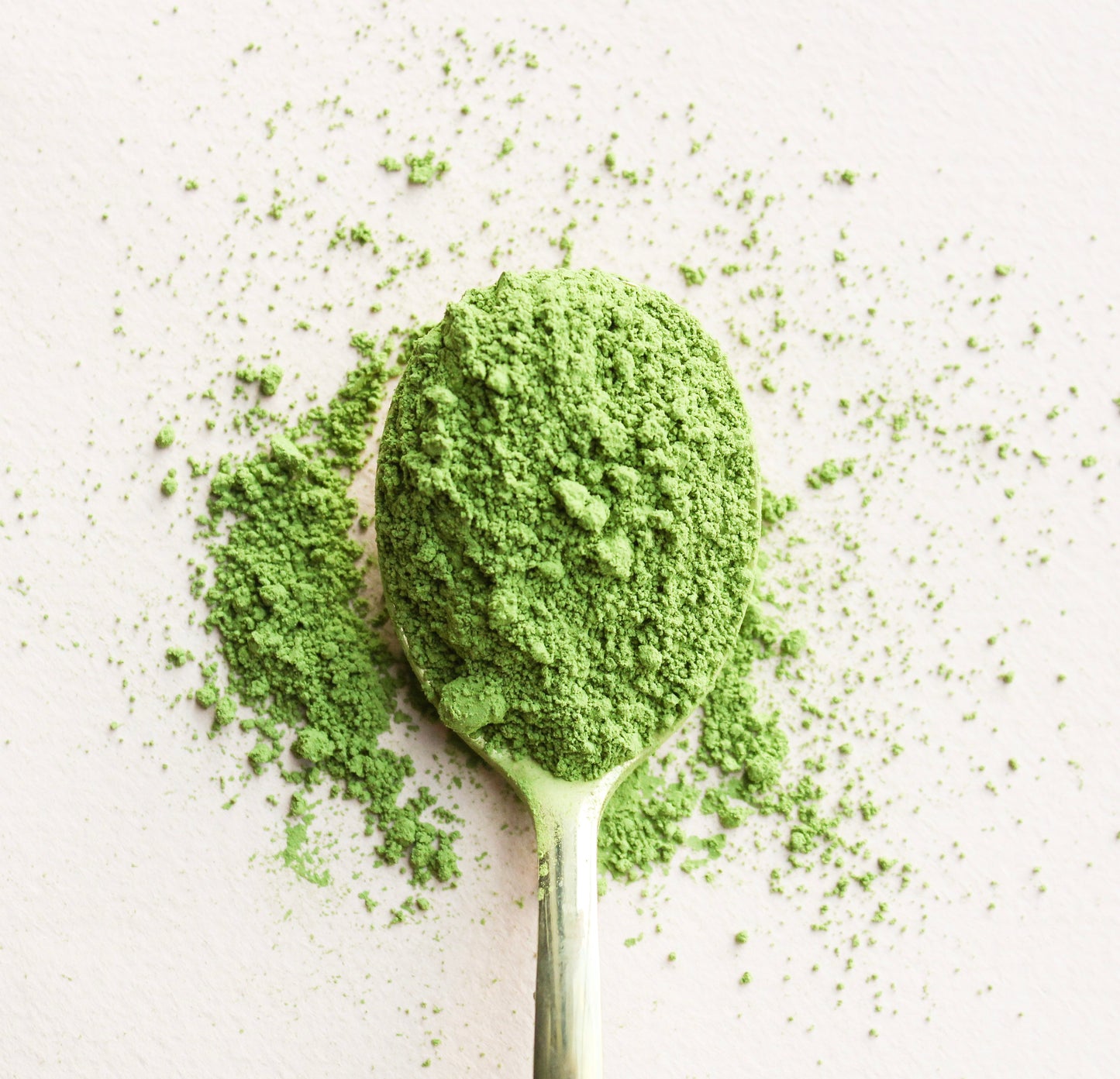 MATCHA EN VRAC (distribution)