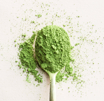 Matcha au quotidien