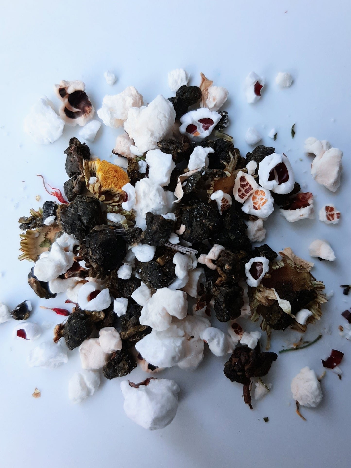 Culture à infuser: Maison du cinéma