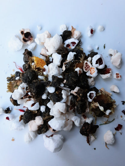 Culture à infuser: Maison du cinéma