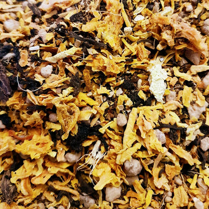 Chaï à la citrouille (thé noir + pu erh)
