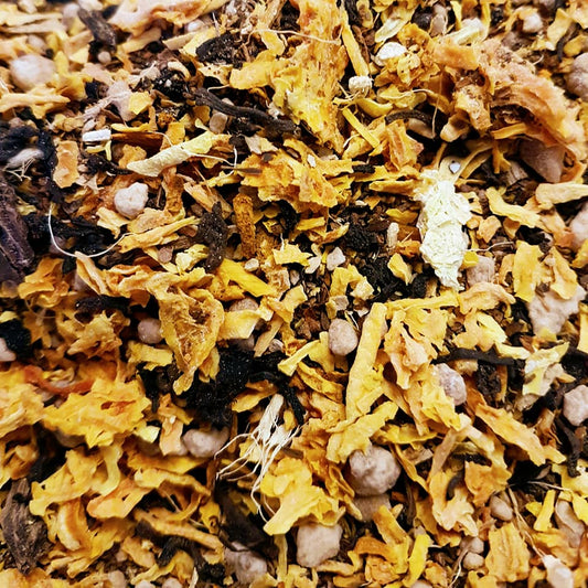 Chaï à la citrouille (thé noir + pu erh)