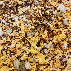 Chaï à la citrouille (rooibos)
